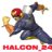 Halcon_24